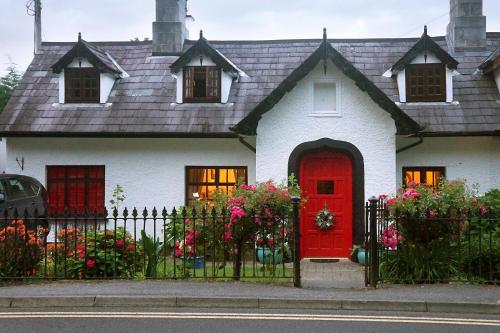 B&B Killarney - Ivy Cottage B&B - Bed and Breakfast Killarney