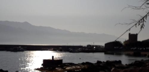 APARTMAN MARTINA in Razanac