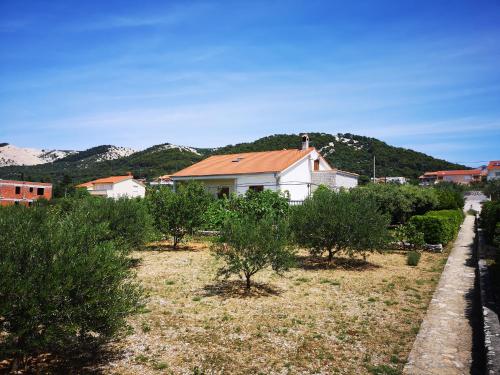  Apartmani Antica Simicic in Barbat na Rabu