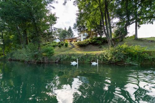 Pampas apartments Mrežnica