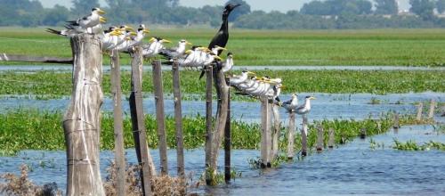 المنطقة المحيطة, Posada Che Teindy in Colonia Carlos Pellegrini