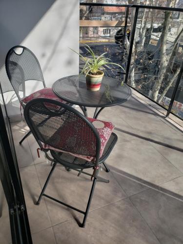 DEPARTAMENTO VERA MUJICA 1 cochera propia incluida in Alberto Olmedo