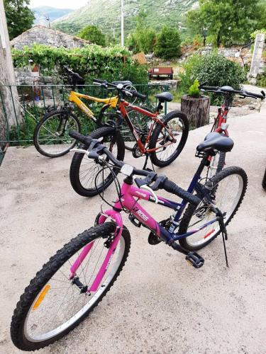 Ethno House Kosic - image 11