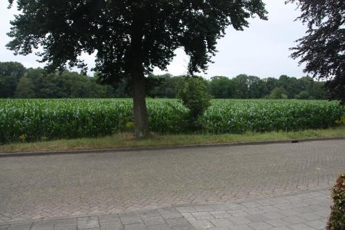 Kilátás, tisOKE in Vught