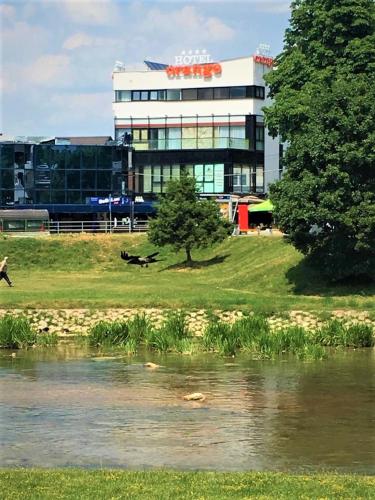 Orange Hotel - image 6