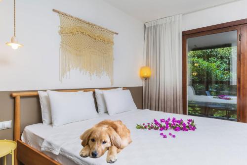 Faros Bodrum Golturkbuku In Turkey