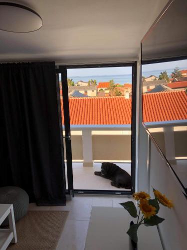 One Bedroom Apartment Bukal Luka VII 15 Apartment with a sea view