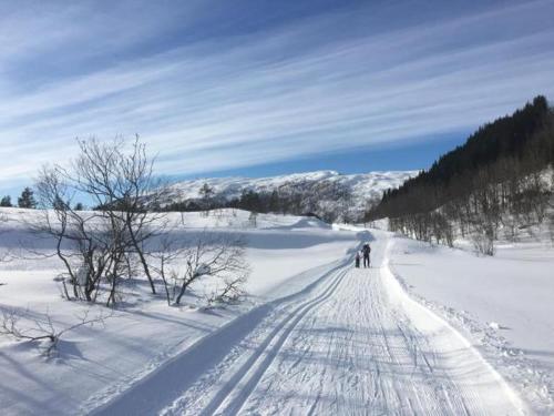 Kvamseter Lodge - Mountain Apartments