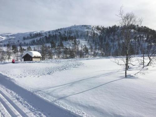 Kvamseter Lodge - Mountain Apartments