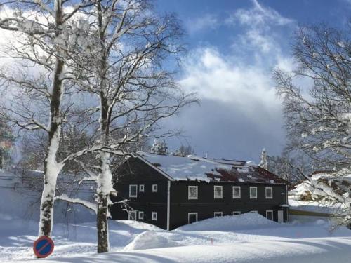 Kvamseter Lodge - Mountain Apartments