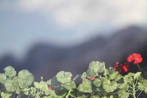 Double or Twin Room with Mountain View