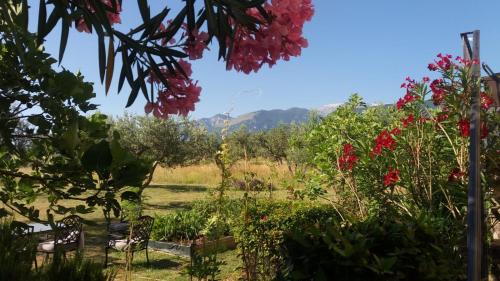  Casale Della Maiella, Pension in Guardiagrele