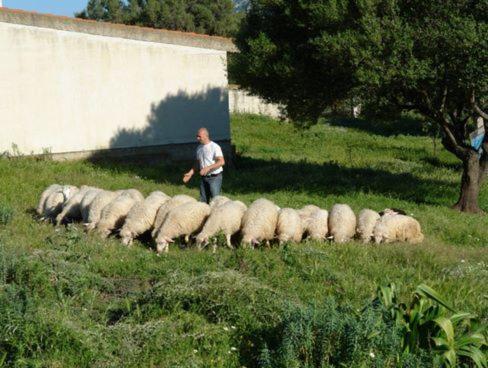 Agriturismo Didone