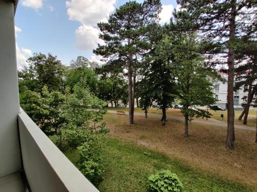 College Garden Hotel - image 11
