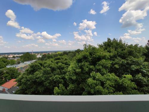 College Garden Hotel - image 7