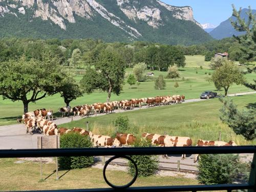 LE BALCON DU GOLF