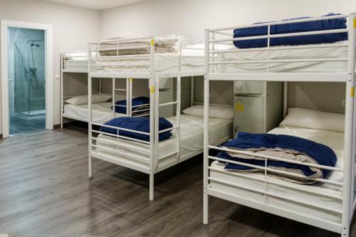 Single Bed in 10-Bed Dormitory Room