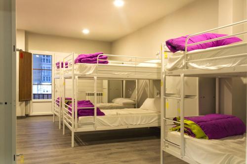 Single Bed in Female Dormitory Room