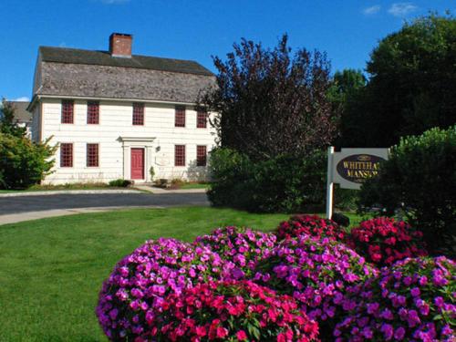 Whitehall Mansion