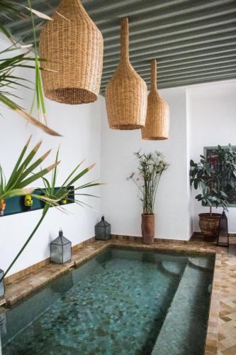 Riad Danka - image 4