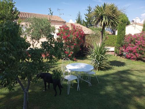 appartements et