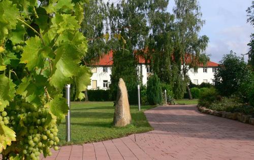 Christliche Gästehäuser Weinstraße - Hotel - Neustadt an der Weinstraße