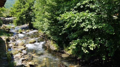 Camping jardin La Vie en Vert en Ariège