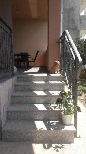  Apartman Kristic in Podstrana