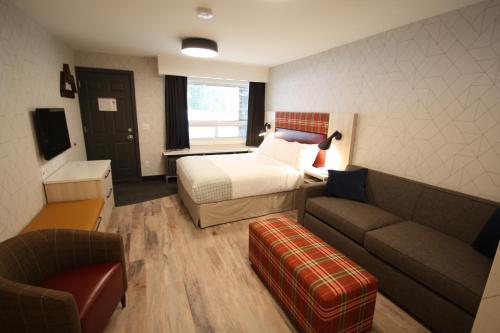 Queen Room - Pet Friendly