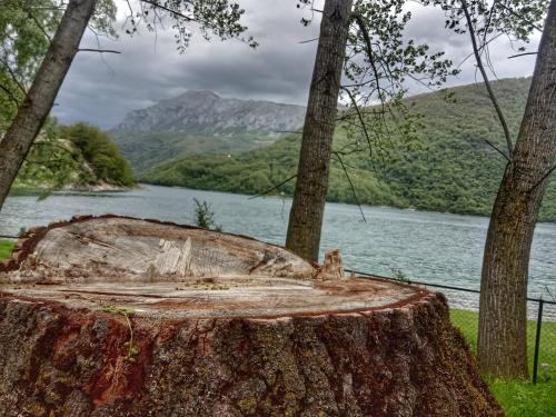 Apartmani Lazic