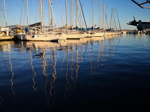 Studio calme à Giens , 2 pas du port et des plages 2