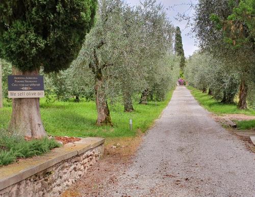 Agriturismo Podere Nigriano - image 14