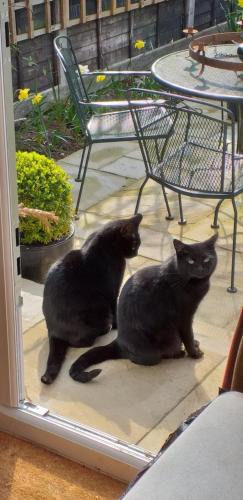 Offa Hideaway in Leamington Spa