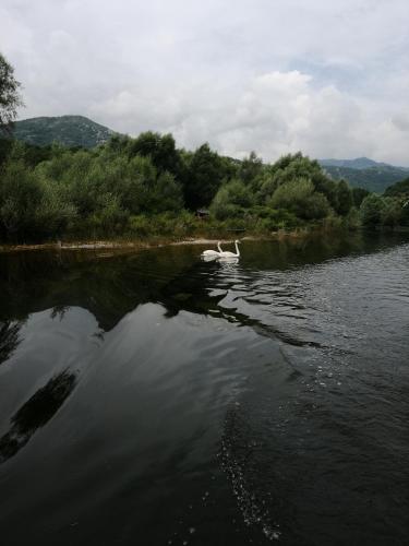 Rustic village - image 11