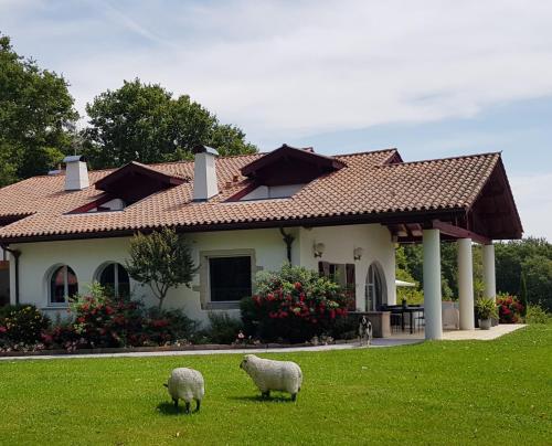 Maison d hotes Lapitxuri - Chambre d'hôtes - Arcangues