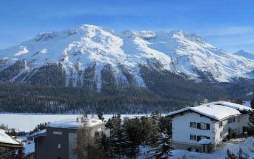 Splendida - image 11
