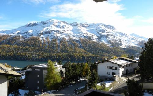 Splendida - image 6
