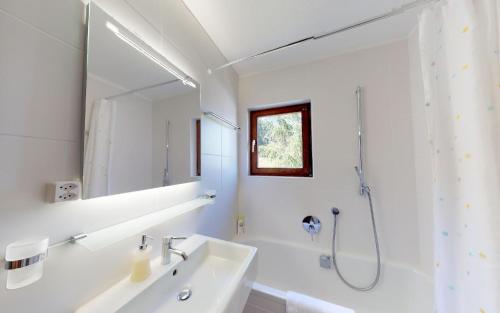 Splendida - image 12