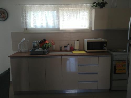 Cozinha, Apartment for relaxing and for health in Neve Shanan