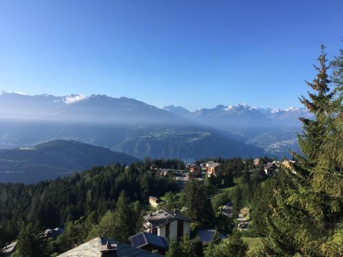 Pension Les Audannes in Anzère, Schweiz