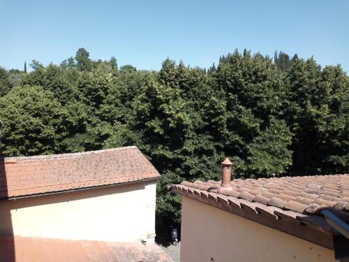 home paolina - Apartment - Greve in Chianti