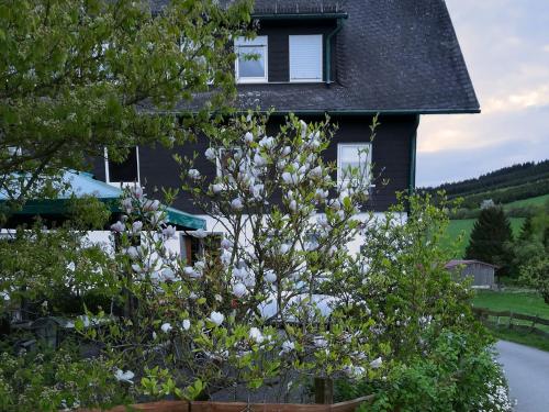 Bauernhofpension Wiebelhaus-Mester