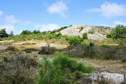 NORDVIG bed & breakfast - image 3
