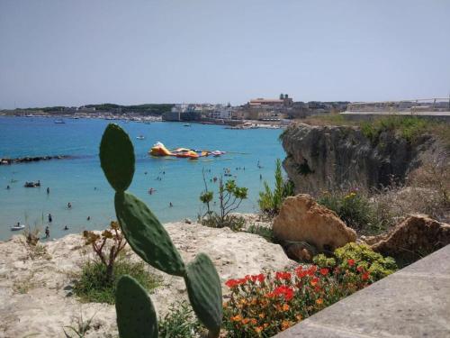 La terrazza sul castello