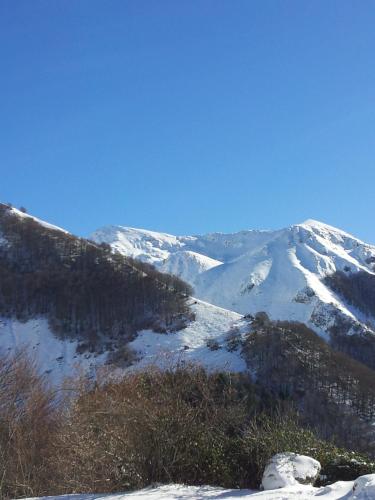 Rifugio Del Pettirosso - image 8