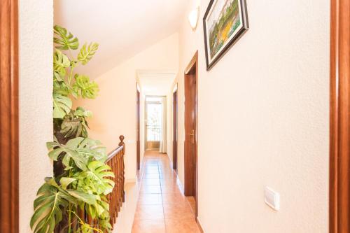Létesítmények, HomeHolidaysRentals Corts in Fogars de la Selva