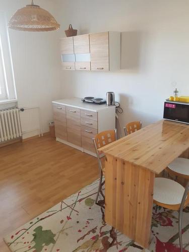 Penzion Flóra- útulný byt s terasou (Penzion Flora- utulny byt s terasou) in Žatec