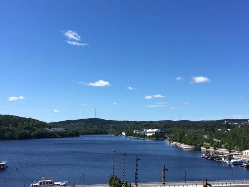 Menuetti - best lake view, Jyväskylä (fotografie 8)
