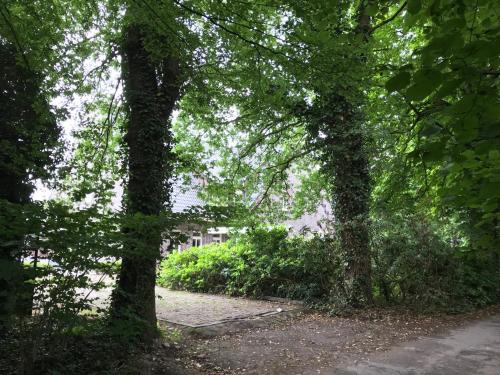 dS Hotel Gronau - image 13