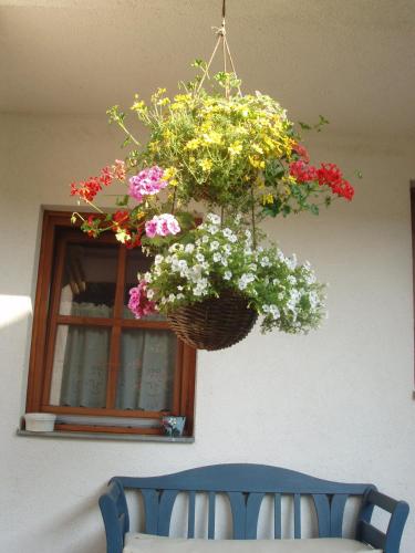 Faciliteiten, Rudolf's Fogado in Zsira